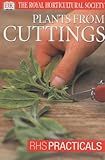 Plants from cuttings