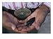 Close View of an Indian Man Holding an Arrowhead, Native American Artifacts Photographic Poster Print by Ira Block, 24x18