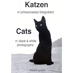 Katzen in schwarzweiss fotografiert. Cats in black and white photographs.