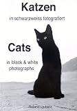 Katzen in schwarzweiss fotografiert. Cats in black and white photographs.