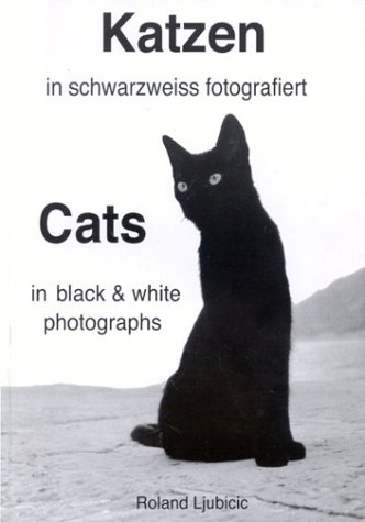 Katzen in schwarzweiss fotografiert. Cats in black and white photographs.