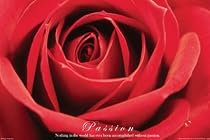 Red Rose (Passion) Framed Art Poster Print - 24" X 36"