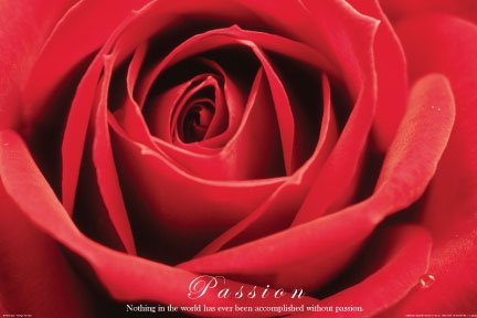 Red Rose (Passion) Framed Art Poster Print - 24" X 36"