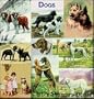 Dogs - Restored Vintage Art on Image CD