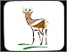 Decorated Mouse Pad with buck, deer, surprise, antelope, standing
