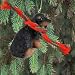 Longhaired Dachshund (Black & Tan) Ornament