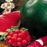Watermelon Seeds - Watermelon Sweetheart Hybrid