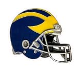 Alfred Hitch Cover 10009 Hitch Cover Wolverines Helmet