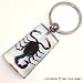 Search : Real Insect Key Chain - Black Scorpion