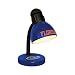 University of Florida Dorm Desk Lamp
