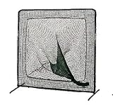２．２ｘ２．２ｍ　ティバッティング用Ｗネット　LYZ-TN009の画像