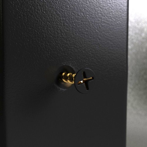 Valterra A77048 Black Screw for Window Frames, (Bag of 100)