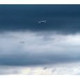 Nub