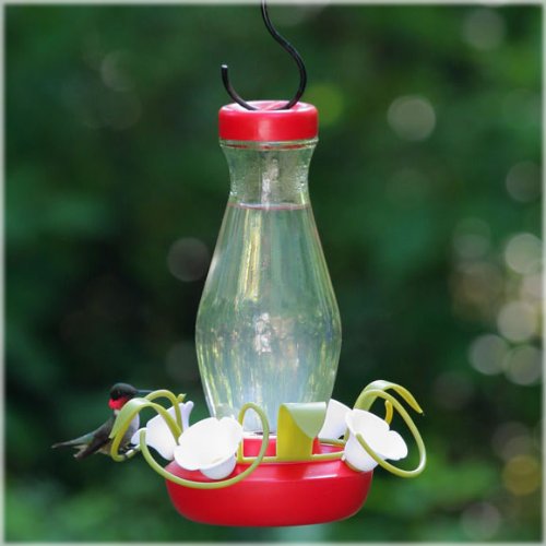 PerkyPet 1613 FunnelFill 16Ounce Glass Hummingbird Feeder , New