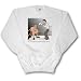 Rich Diesslins Funny General - Editorial Cartoons - Tough Committee Meetings - Sweats...