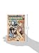 FAIRY TAIL 27