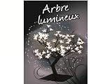 ARBRE LUMINEUX 64 LED ECLAIRAGE BLANC - LA6033B