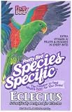 Eclectus Special 3lb