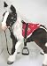 Butterscotch S`Mores Interactive Hasbro Saddle Set - Horseshoe Print