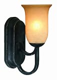 World Imports Lighting 6661-42 Arezzo 1-Light Wall Sconce, Rust Finish with Brushed Silver Accents