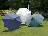 ACE TRADING - WHITE TIGER UMBREL BJ - 1006 DE - HG UMBRELLA MKT OLE GRN 9 - B000HMCGB2