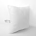 Mybecca Decorative Sofa and Bed Throw Pillow Insert Premium Hypoallergenic Sham Square Stuffer Form Polyester, Standard/White - Made in USA (18x18)