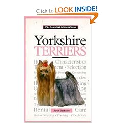 A New Owner's Guide to Yorkshire Terriers (JG Dog)
