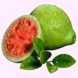 Faeries Finest Flavor Extract, Guava, 2 Ounce