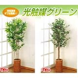 �}�C�i�X�C�I��������C����@�t���G�}�O���[��136cm