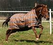 Rhino Wug Medium Turnout Blanket - Size 81