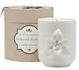 Zodax Cabinet de Curiosite Candle Jar in Gift Box, White Tiger Lily