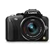 Panasonic LUMIX DMC-G3 16 MP Micro Four-Thirds Interchangeable Lens Camera with 3-Inch Free-Angle Touch-Screen LCD and 14-42mm Lumix G VARIO f/3.5-5.6 Lens