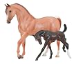 Arabian Mare and Foal - Red Roan and Dark Bay