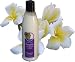 Hawaiian After Sun Lotion with Aloe Vera, Plumeria by Lahaina Noon