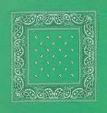 Kelly Green Paisley Bandana