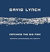 Catching the Big Fish: Meditation, Consciousness, and Creativity