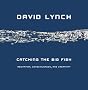 Catching the Big Fish: Meditation, Consciousness, and Creativity Catching the Big Fish: Meditation, Consciousness, and Creativity