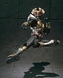 S.I.C. Ultimate Soul Masked Rider Kamen Rider Agito Grand Form [JAPAN]