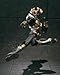 S.I.C. Ultimate Soul Masked Rider Kamen Rider Agito Grand Form [JAPAN]