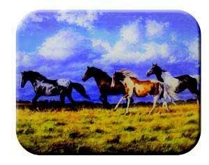 Click here for TUFTOP Cutting Boards - Running Free 9