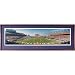 Everlasting Images South Carolina Gamecocks 'End Zone' Deluxe Frame Photo