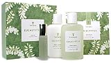The Thymes Eucalyptus Gift Box