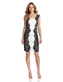maxandcleo Womens Short Lace Inset Dress
