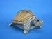 Garten Deko Schildkröte klein Höhe 9 cm Figur aus Kunststoff