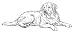Dog Rubber Stamp - Labrador Retriever - 1F