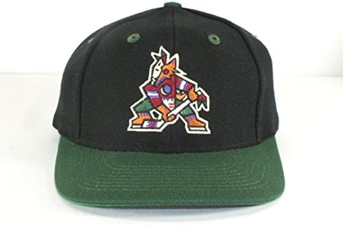 Phoenix Coyotes Nhl Flat Brim Snapback HAT NEW C 13