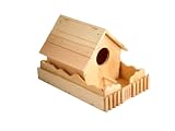 Red Toolbox K006B Birdhouse