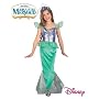 Size 4-6X Ariel Costume