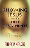 Knowing Jesus in the Old Testament? : a fresh look at Christophanies