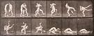 Two Men Wrestling, photo Eadweard Muybridge (Print On Demand)